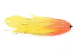 Vision Pike Ambulance