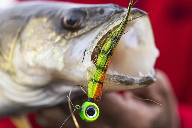 VMC Moontail Jigs Red Tail Chub 10,5g 4 VMC Moontail Jigs Red Tail Chub 10,5g - Bilde 2