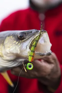 VMC Moontail Jigs Red Tail Chub 10,5g 12 VMC Moontail Jigs Red Tail Chub 10,5g -Billig Oppbevaring butikk al linder 30a0231.640