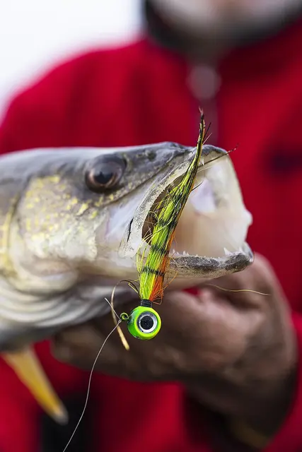 VMC Moontail Jigs Red Tail Chub 10,5g 6 VMC Moontail Jigs Red Tail Chub 10,5g - Bilde 4