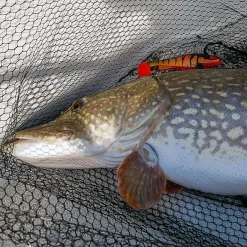 Daiwa Prorex Lazy Shad 16cm -Billig Oppbevaring butikk daiwa lazy shad miljo 1.640