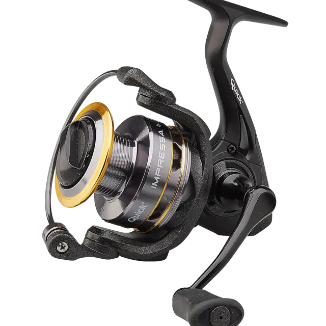 DAM Impressa 4S 3000S FD 3+1BB IGSP 3 DAM Impressa 4S 3000S FD 3+1BB IGSP