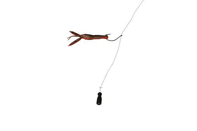 Savage Gear 3D Crayfish Rattling 6,7cm 5 Savage Gear 3D Crayfish Rattling 6,7cm - Bilde 3