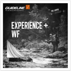 Guideline Experience+ WF #4